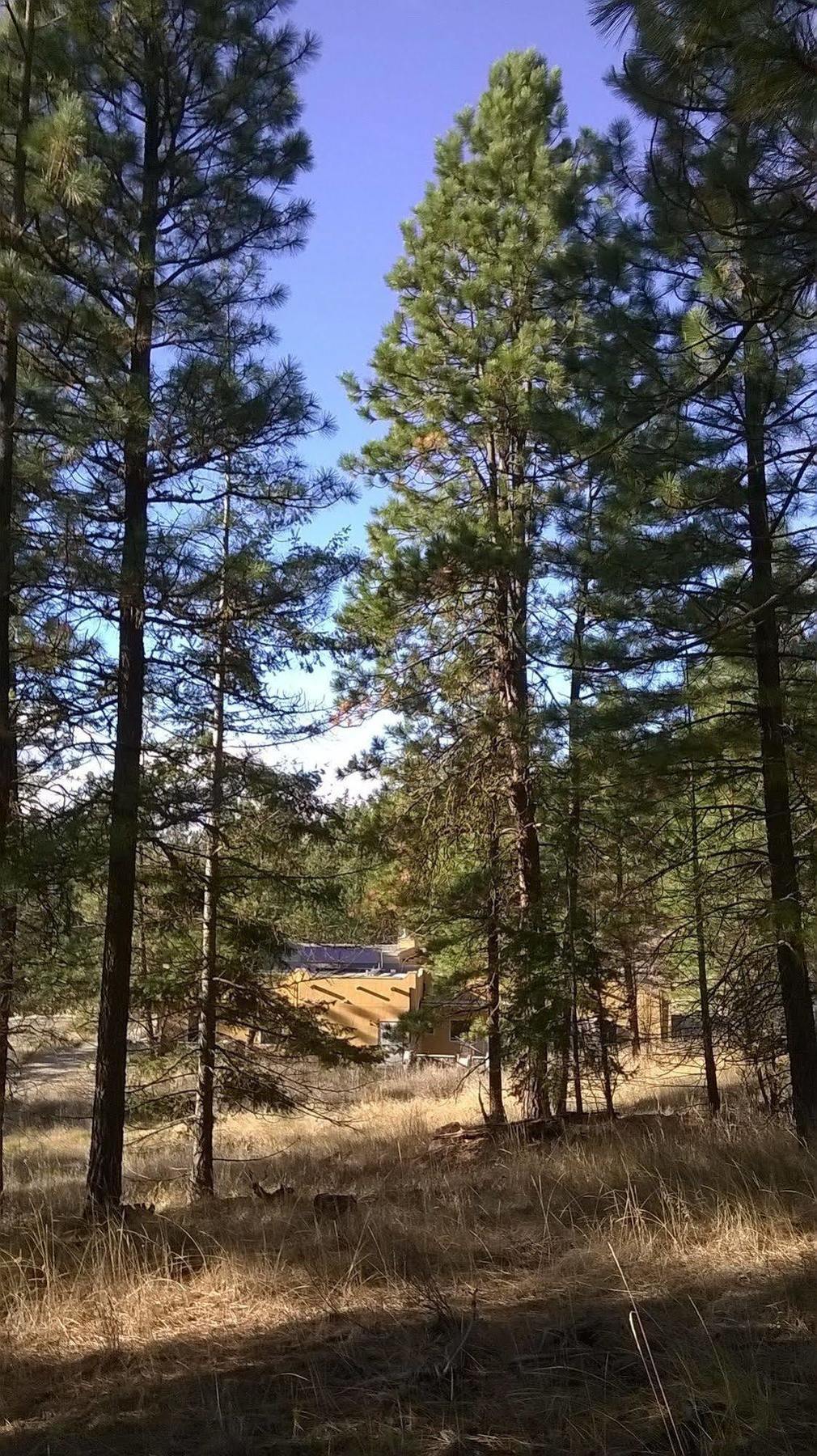 Baergnaescht B&B Osoyoos Exteriör bild